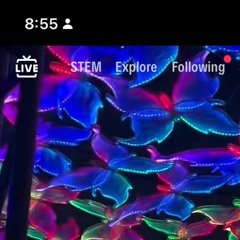 @artistlovegeese TikTok is $