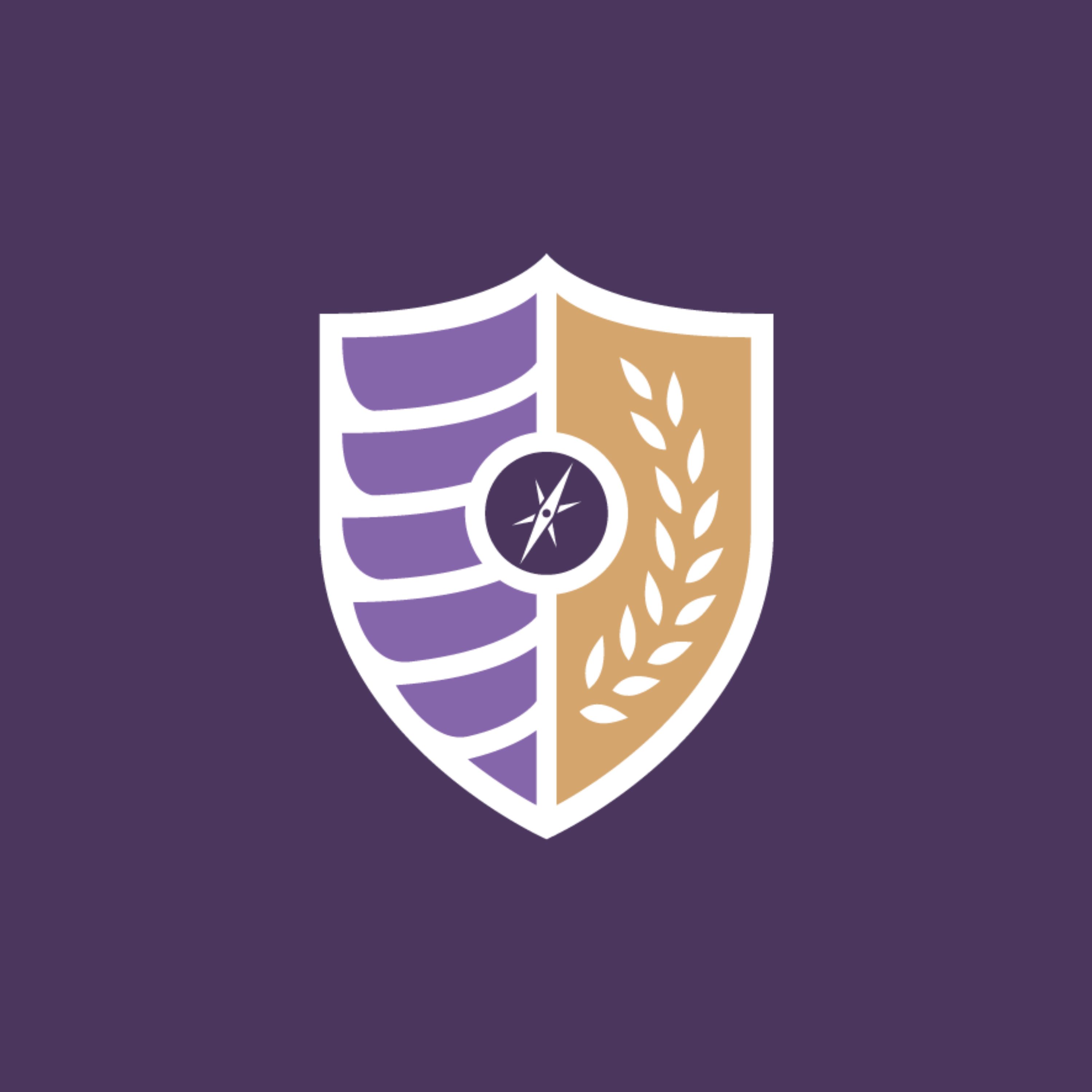 "Flyers in Focus" cover art