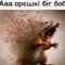 бигбоб тема