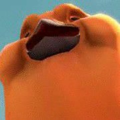 im bird heavy
