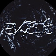 E V A 8 0 8   忍者