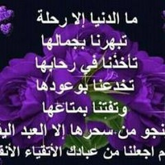 رضا عبدالحميد