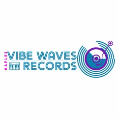 Vibe Waves Records