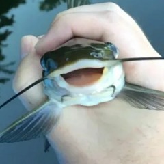 Foshy