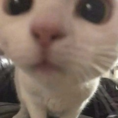 Victimo