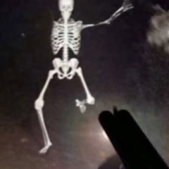 Mr. Skelly bones