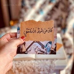 Nariman A Fawzy