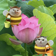 em bủn