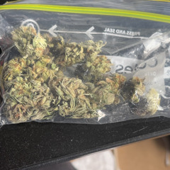 JimitheJunkie