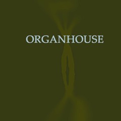 ORGANHOUSE /Organ 31/Aktion Direkt/Organization 31