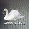 Avion Swann