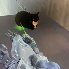 SGT Soldier