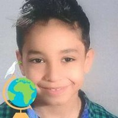 سامي ضاحي