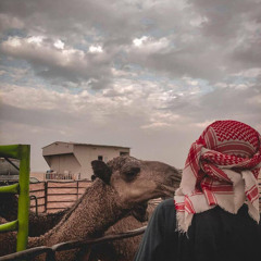 - فيصل ابَن ناصر | 🇸🇦 .