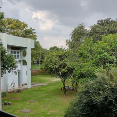 MSA