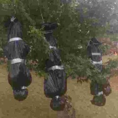 TRASH BAG TERRORISTZ