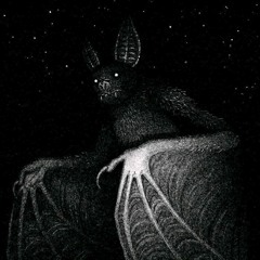 black cat crazy music