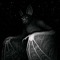black cat crazy music