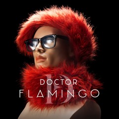 DOCTOR FLAMINGO