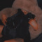 Lj_xx