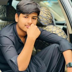 Chaudhary Danish