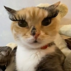 I dont ship, I luv！❤︎