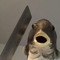 im-a-gremlin