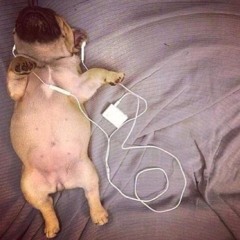 милана мирная