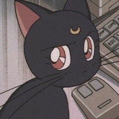 blackblrd