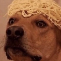 spaghettidog