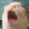 ern