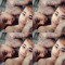 IreNe N StinNet