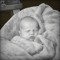 Cohen Gray