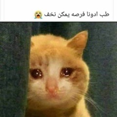احمد عصفور البشاواتي