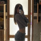 nohana