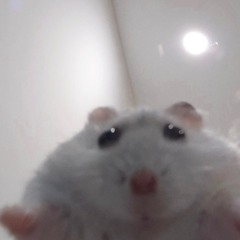 이원하