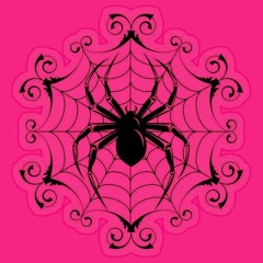 Spyder