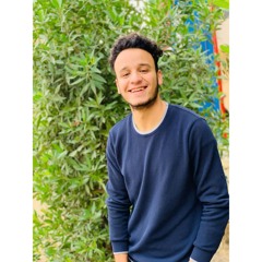 Magdy Ali Eldeen