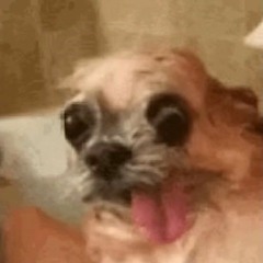 scrcrw