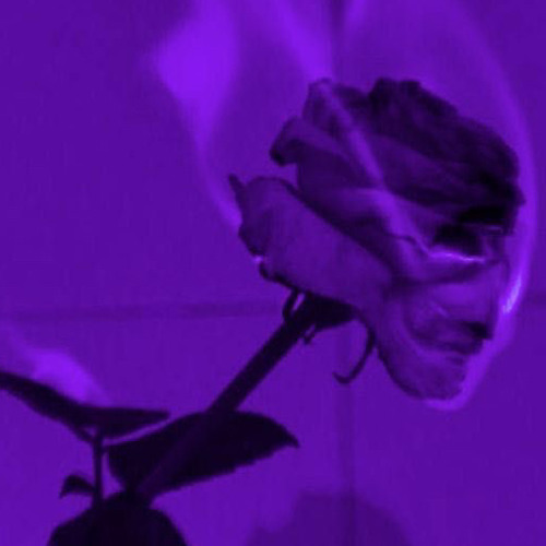 Stream 🥀insertlove🥀 music | Listen to songs, albums, playlists for free
