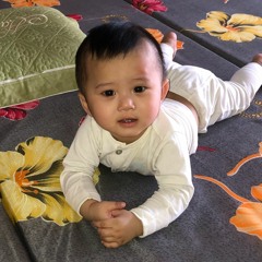 phuong hai nguyen