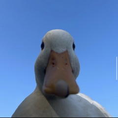lopojr
