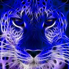 EPIC/CHEETAH