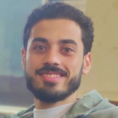 Mohamed R Adel