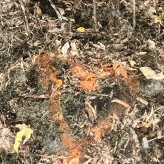 push n’ punch (@cj__pnp)