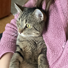 Sophie S.