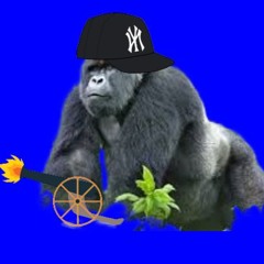 Gorilla MoldNuts
