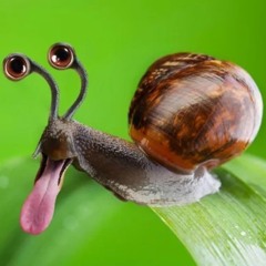 mellowjellow