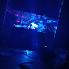 na_b_kaifee
