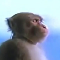 hhgr_36